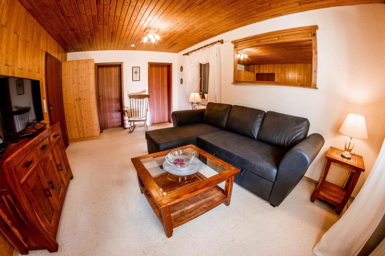 Apartments Haus Martin 拜尔里舍艾森施泰恩 外观 照片